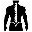 Vertebral Column Human Spine Spinal Cord Segment Icon