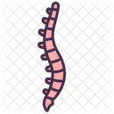 Skeletal System Bones Internal Icon