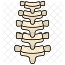 Spine  Icon
