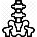 Spine Spine Card Biology Icon