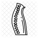 Spine Straight Spine Back Icon