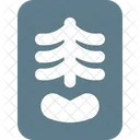 Spine X Ray Spine Back X Ray Icon