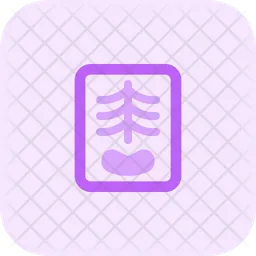 Spine X Ray  Icon