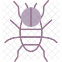 Spinne  Icon