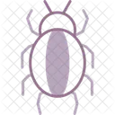 Spinne  Icon