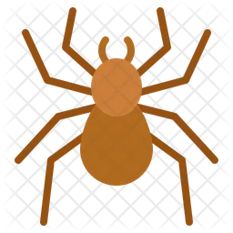 Spinne  Symbol