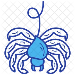 Spinne  Symbol