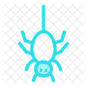 Spinne  Symbol