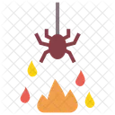 Spinne Feuer Bose Symbol