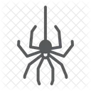 Spinne  Symbol