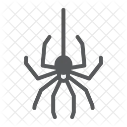 Spinne  Symbol