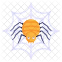 Spinnennetz  Symbol