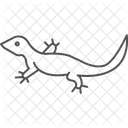 Spiny Lizard Spinylizard Reptile Icon