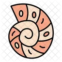 Shell Snail Old Icon