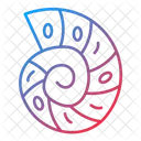 Spiral Shell  Icon