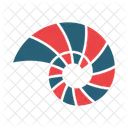 Spiral Shell Shell Snail Icon