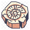 Schale Fossil Spirale Symbol