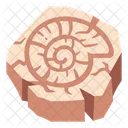 Schale Fossil Spirale Symbol