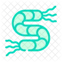 Spirilla Bacteria Color Icon