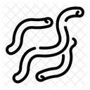 Spirochete  Icon