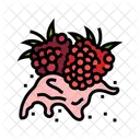 Splash Raspberry Fruit Icon