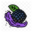 Splash Blackberry  Icon