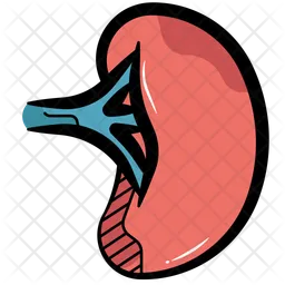 Spleen  Icon