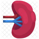 Spleen Organ Body Part Icon