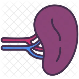 Spleen Icon