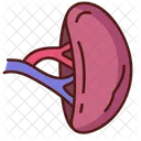 Spleen  Icon