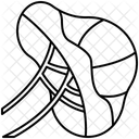 Spleen  Icon