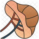 Spleen  Icon