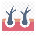 Split Hair Damage Hair Loss Icon