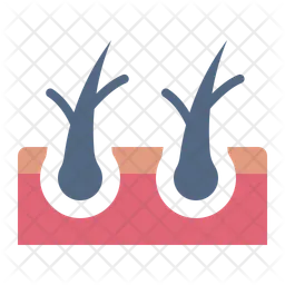 Split hair  Icon