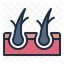 Split Hair Damage Hair Loss Icon