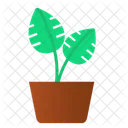 Split Leaf Pot Plant Green Icon