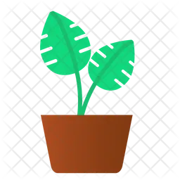 Split Leaf Pot  Icon