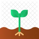 Spoil Plant  Icon