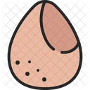 Sponge  Icon