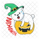 Spooky Pumpkin Witch Teddy Halloween Pumpkin 아이콘