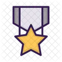Sport Star Medal Icon