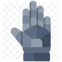 Sport Cricket Glove Icon