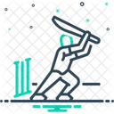 Sport Cricket Player Icon