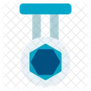 Medal Award Winner Icon