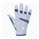 Sports Mitt Sports Glove Glove Icon