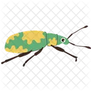 Beetle Insect Spotted Icon