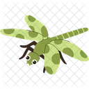 Dragonfly Insect Flying Icon