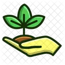 Plant Hand Growth Icon