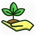 Plant Hand Growth Icon