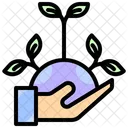 Spriessen Neu Pflanzen Aufforstung Symbol